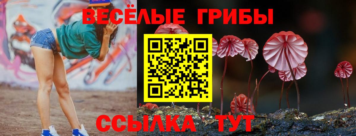 как найти наркотики  Псилоцибиновые грибы прущие грибы  Вход с VPN  Краснознаменск 